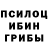 ГАШ гашик Dodger Echo