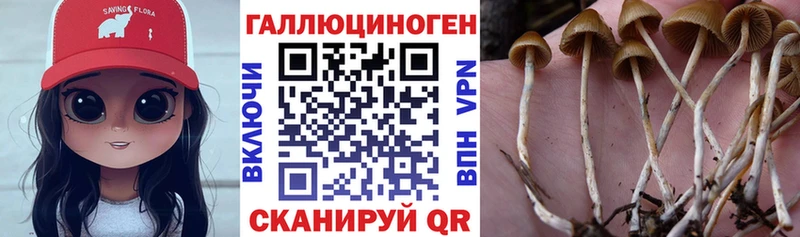 Псилоцибиновые грибы ЛСД магазин наркотиков Сураж